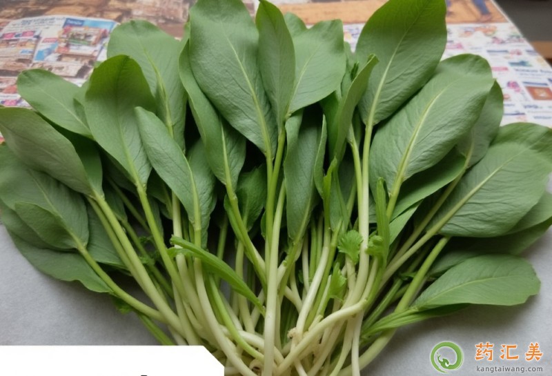 胰腺炎可以吃小棠菜嗎