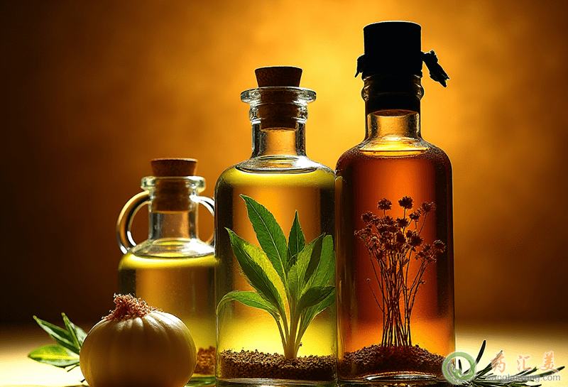 ̴㾫лѪ(jng)j(lu)Æ