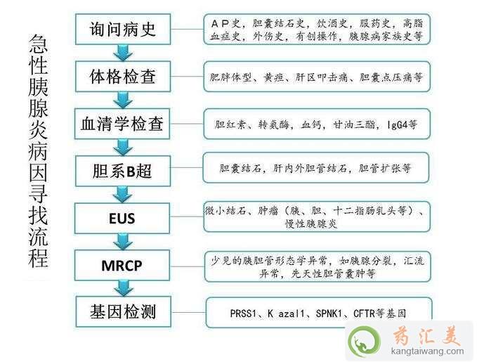 杜絕胰腺炎復發找對病因是關鍵 杜絕胰腺炎復發找對病因是關鍵