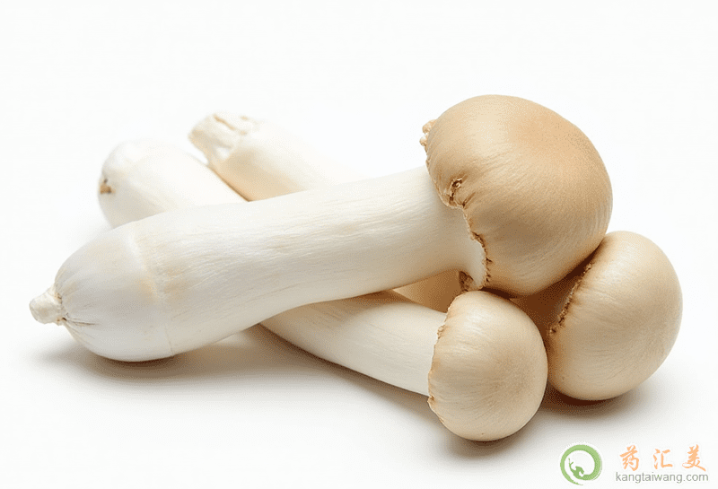 失眠可以吃杏鮑菇 失眠可以吃杏鮑菇