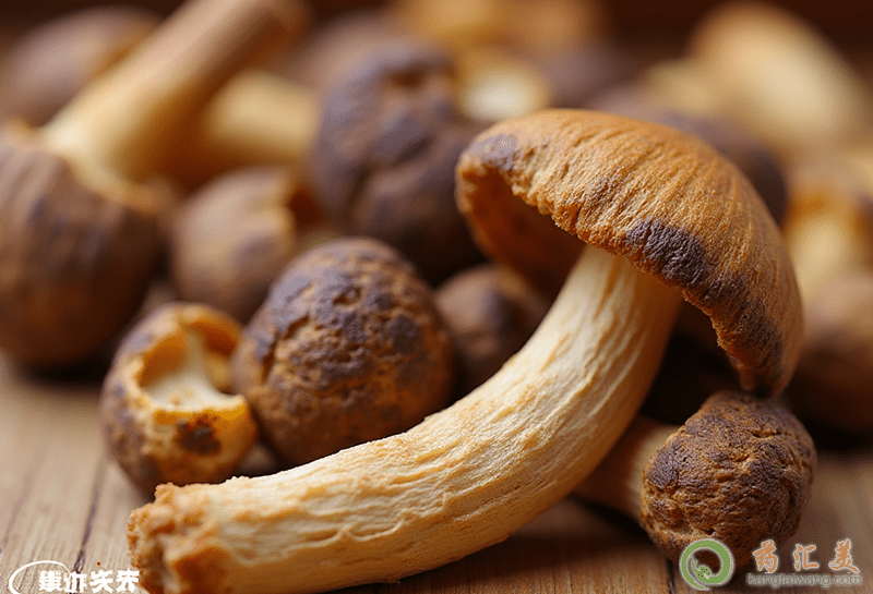 口臭可以吃姬松茸 口臭可以吃姬松茸