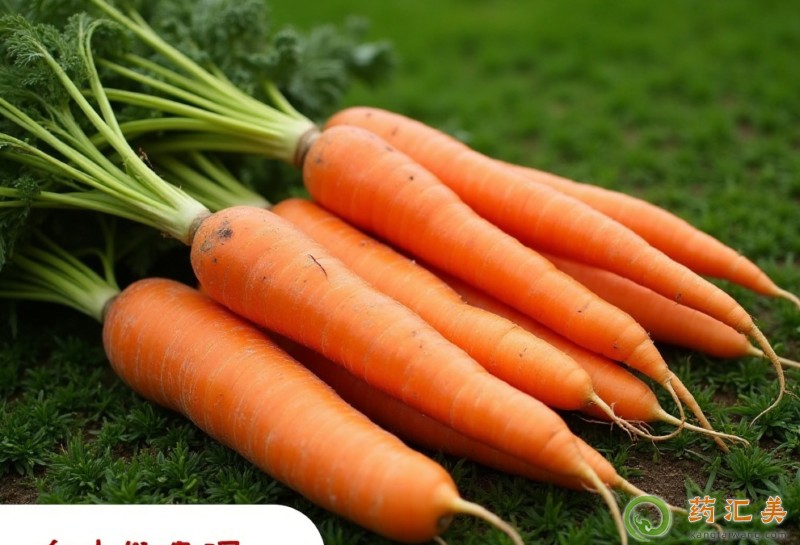 胡蘿卜是很好的嬰兒輔食 胡蘿卜是很好的嬰兒輔食