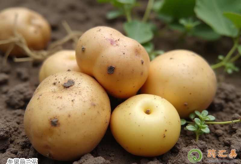 胃炎吃土豆好 胃炎吃土豆好