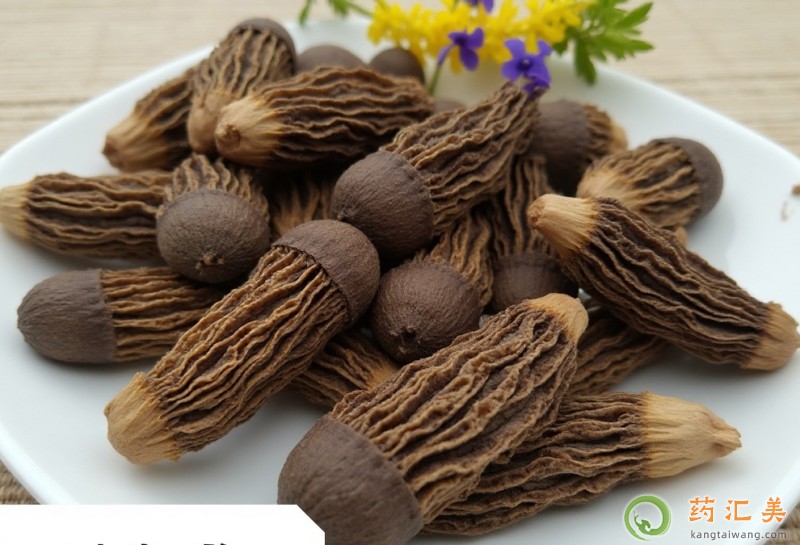 男性補腎常吃點羊肚菌好 男性補腎常吃點羊肚菌好