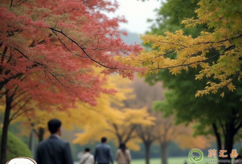 胰腺炎剛出院飯后可以出去散步活動(dòng)嗎 胰腺炎剛出院飯后可以出去散步活動(dòng)嗎