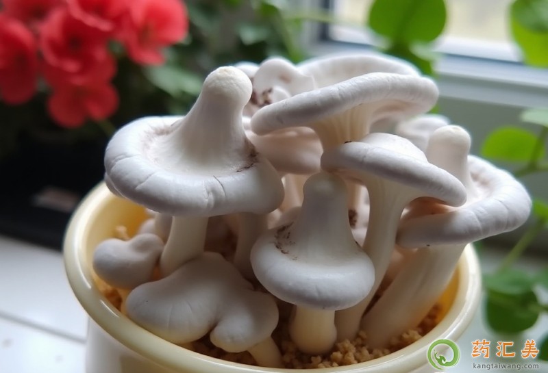 吃平菇有什么好處 吃平菇有什么好處