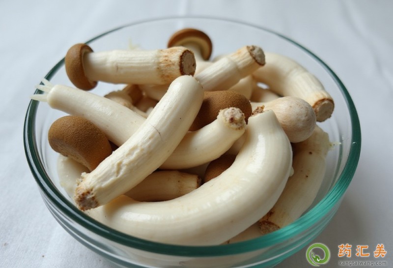 胰腺炎能吃蟹味菇嗎 胰腺炎能吃蟹味菇嗎