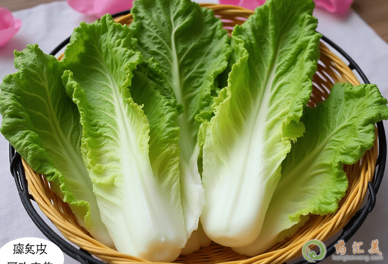 生菜的營養(yǎng)價值 生菜的營養(yǎng)價值