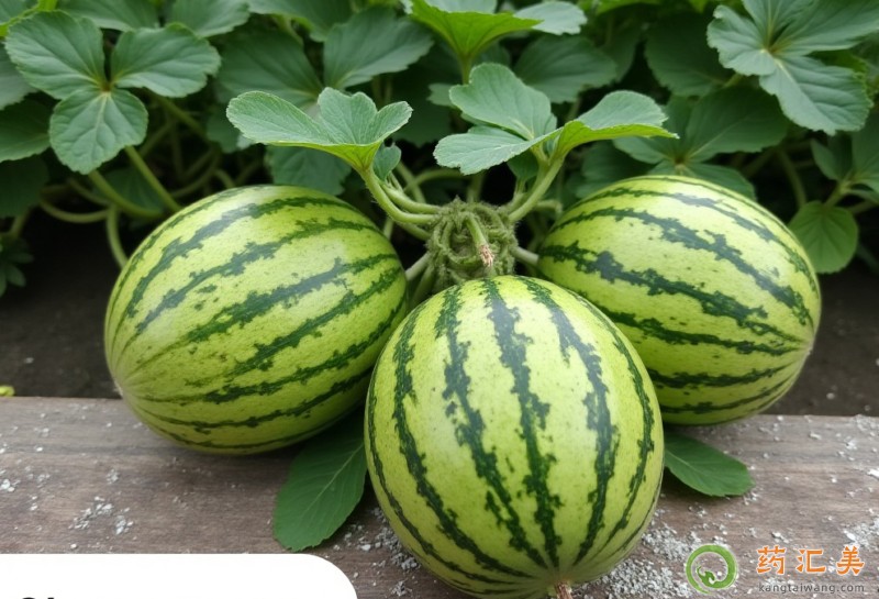 失眠能吃紅玉西瓜嗎 失眠能吃紅玉西瓜嗎