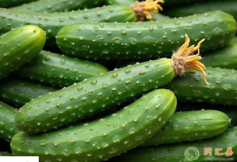 口臭吃黃瓜好 口臭吃黃瓜好