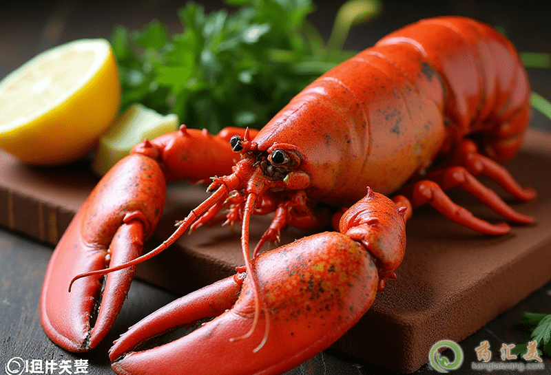 龍蝦的營養(yǎng)價(jià)值 龍蝦的營養(yǎng)價(jià)值