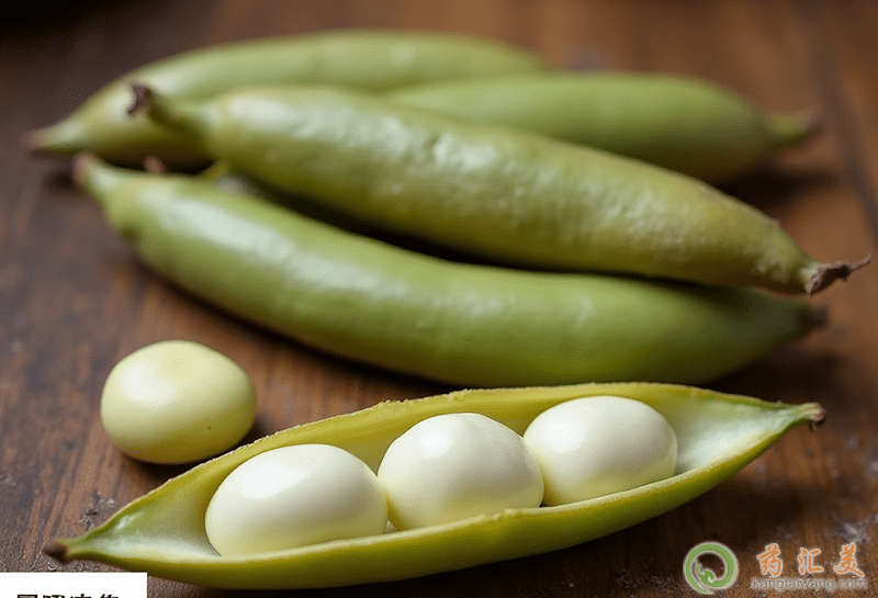 蠶豆的營養(yǎng)價值 蠶豆的營養(yǎng)價值