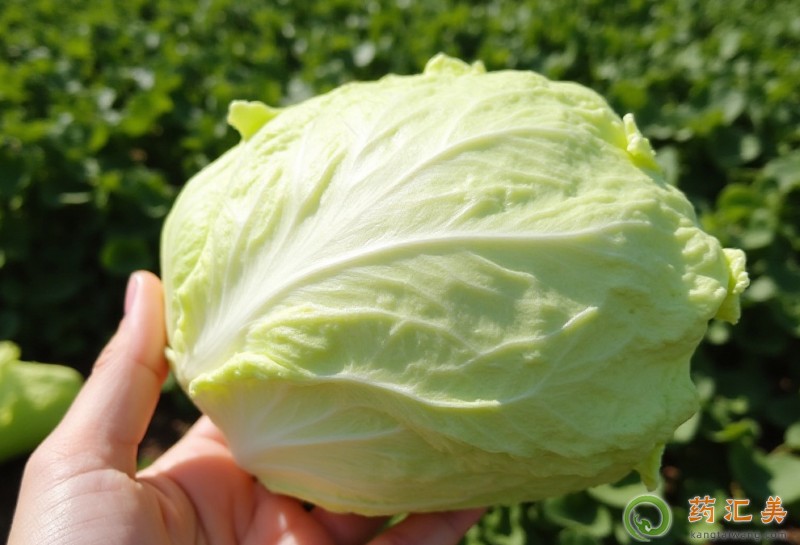 胰腺炎出院后能吃球生菜嗎 胰腺炎出院后能吃球生菜嗎