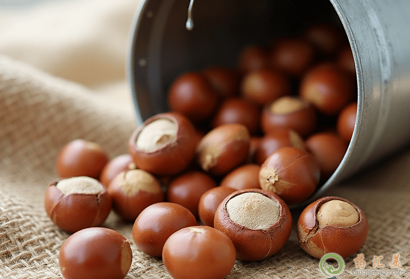 榛子的營養價值 榛子的營養價值