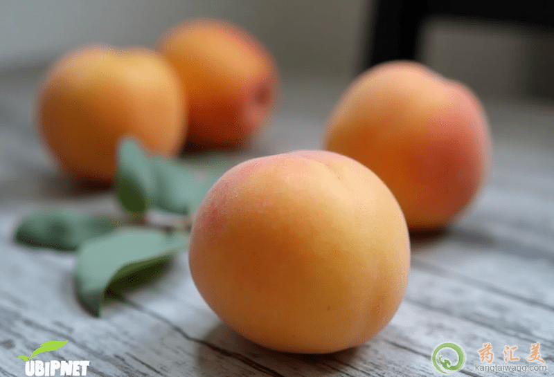 黃金蜜桃的營(yíng)養(yǎng)價(jià)值 黃金蜜桃的營(yíng)養(yǎng)價(jià)值