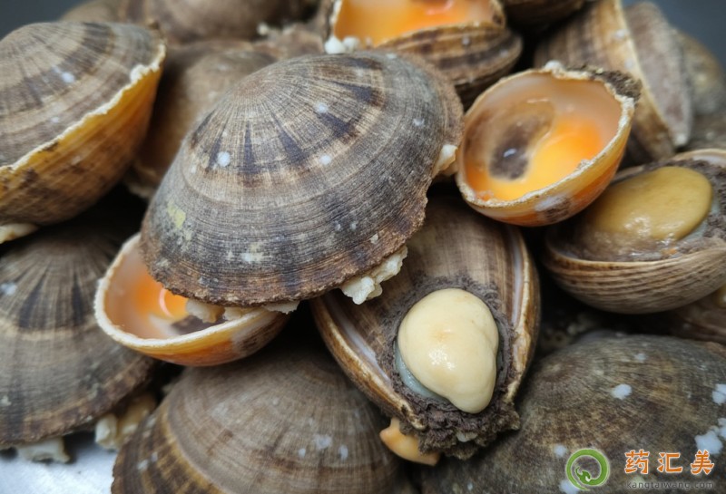 胰腺炎能吃海螺嗎 胰腺炎能吃海螺嗎